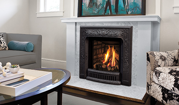 Enviro Q1 Gas Fireplace Insert